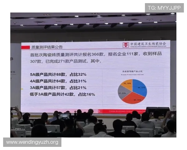 问鼎行业巅峰，探索实现卓越领导地位的实用策略