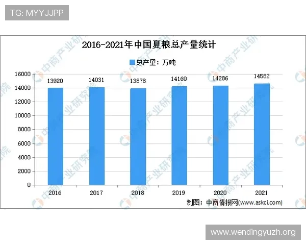 2026年世界杯墨西哥与南非净胜球形势影响晋级概率的详细解读与比赛策略建议